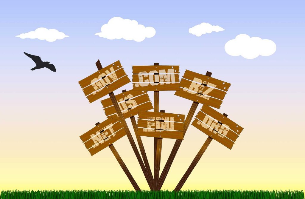 What is a Domain Name?